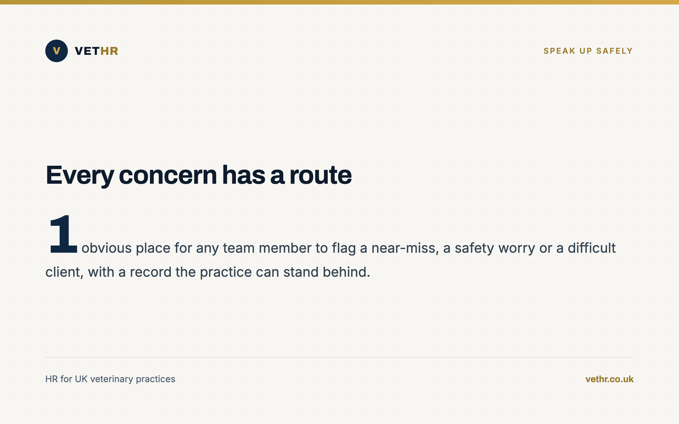 A simple See It Report It incident form giving veterinary staff one clear route to raise concerns.