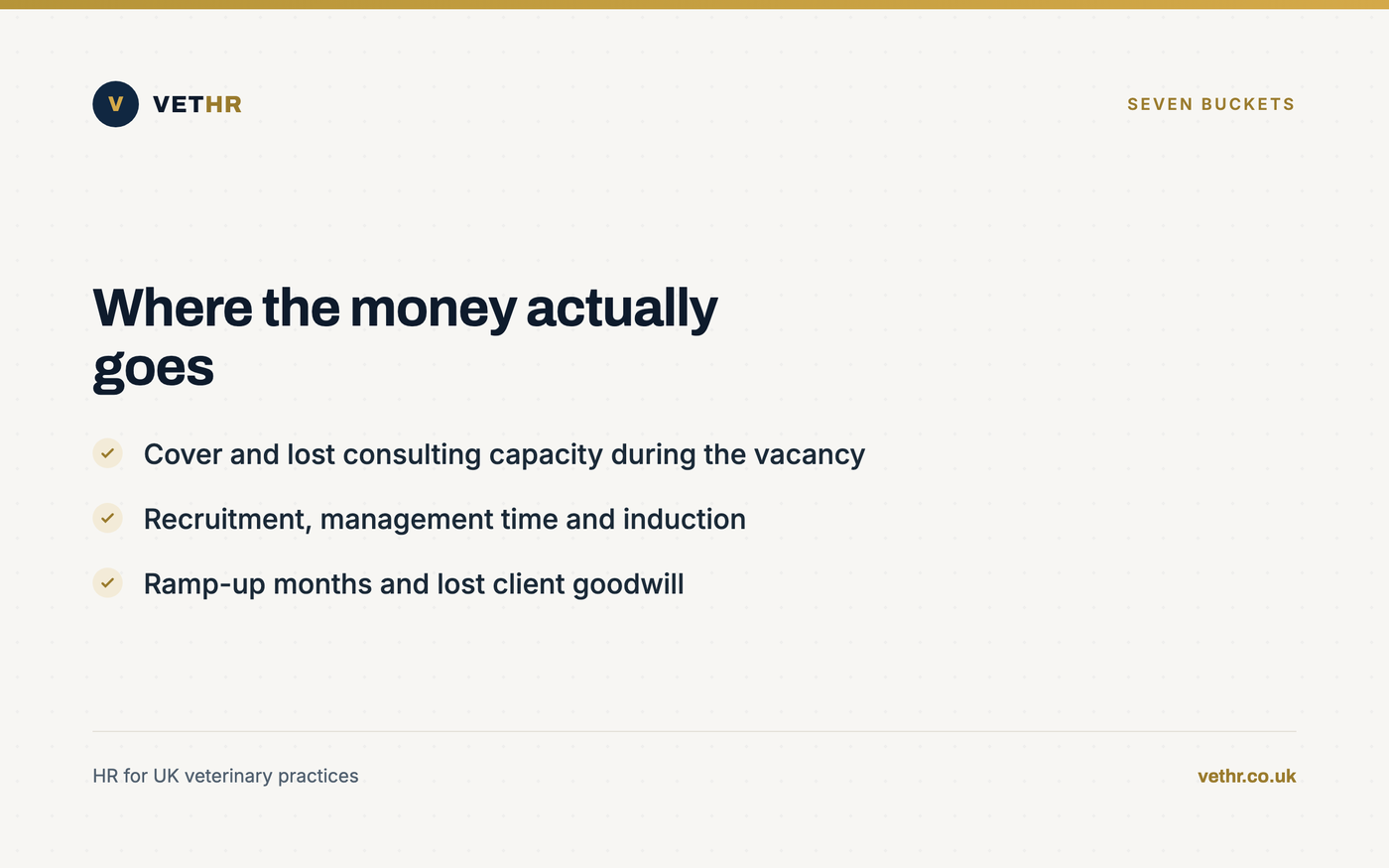 Card listing the seven cost buckets created by a veterinary vacancy.