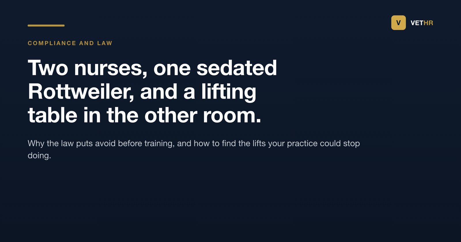 Vet HR title card on manual handling duties in a veterinary practice.
