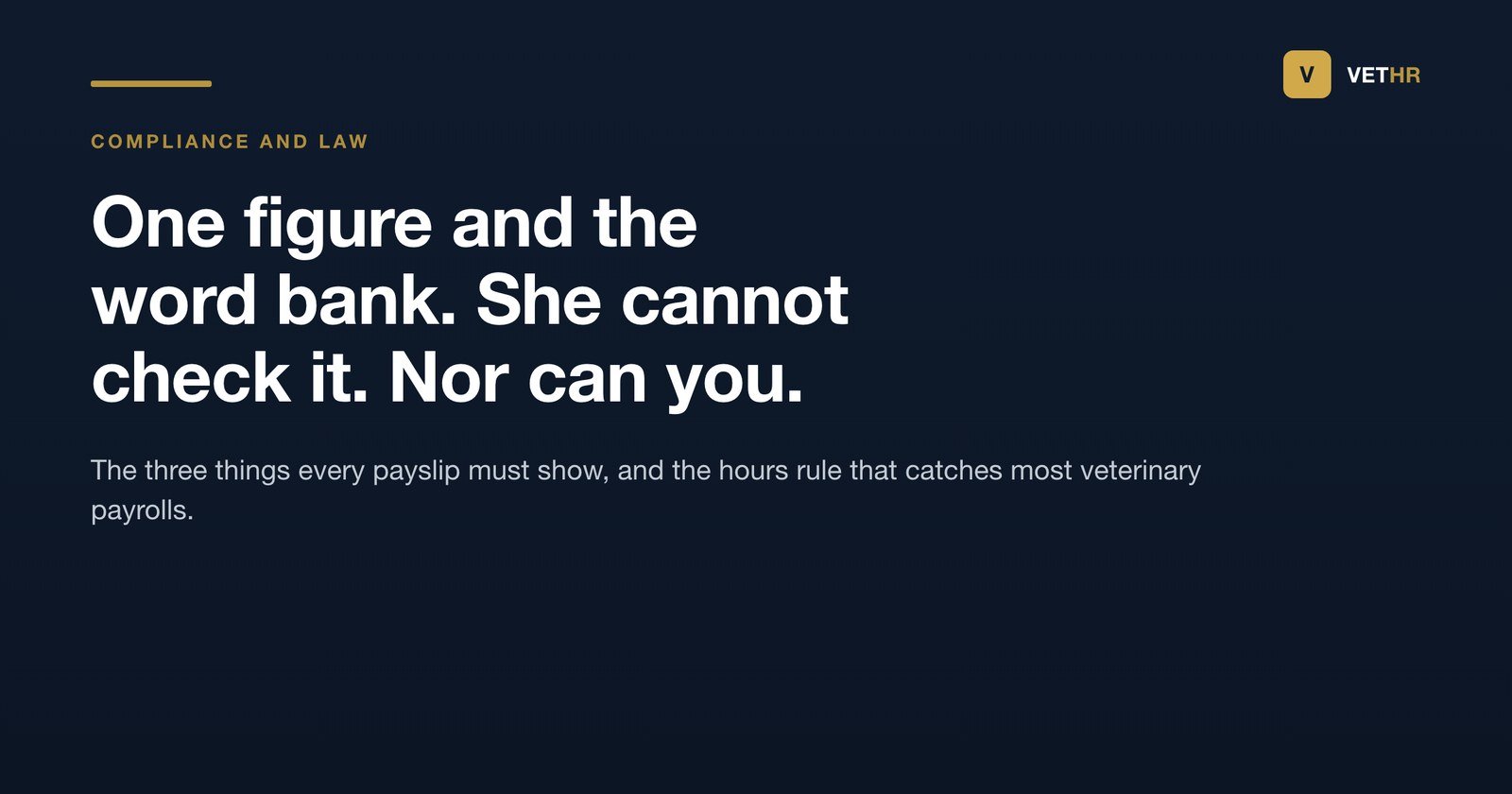 Vet HR title card on the legal requirements for a payslip in a veterinary practice.
